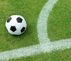 AIFF Open House on Saturday