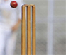 Naik appointed chairman of selectors of senior Mumbai team