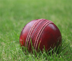 Pakistan, Windies not to play T20 Internationals in USA