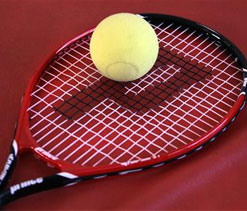 Divij, Raja in quarters of Claro Open