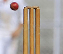 Former Test umpire Hanumantha Rao passes away