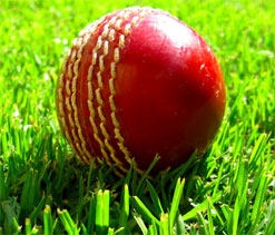 Spend more time in nets than gym: Sundaram to pacers