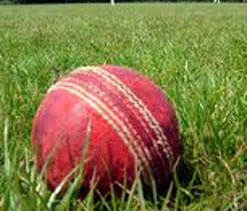 Indian-origin Sandhu says Oz cricket fast losing `pale and stale` image