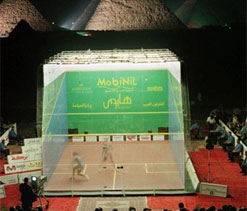 Squash still has a great future despite Oly snub: PSA, WSF