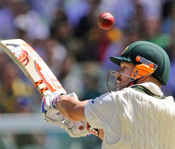 Proteas ripe for the picking says David Warner