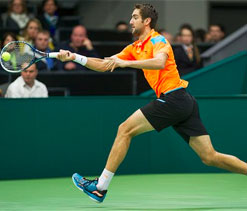 Berdych, Cilic to play for Rotterdam title