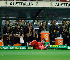 Record crowd attended T20 between England, Oz at MCG