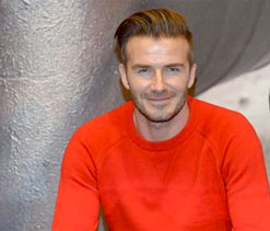 Beckham yet to finish his Lego Taj Mahal