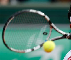 Sanam, Prajnesh enter ATP Challenger main draw