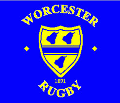 Sting in tale as Wasps leave Worcester facing drop