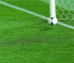 German firm behind goal-line technology looks beyond World Cup