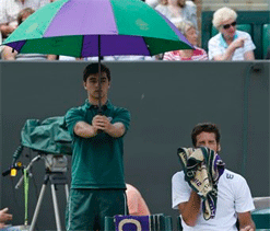 Wimbledon opens `safety` gate for boxed-in champions