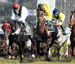Hyderabad monsoon races to begin tomorrow